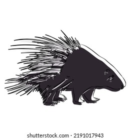 Illustration: Beautiful Porcupine Image, so cute.