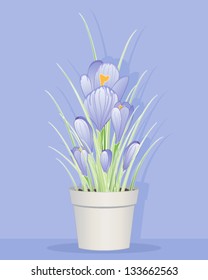 an illustration of beautiful purple springtime crocuses in a pot with foliage and buds on a lilac background