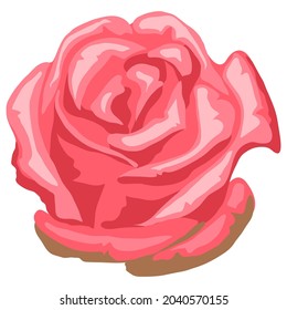 Illustration of beautiful realistic rose. Bud for design and decoration.
