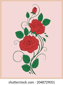 illustration of a beautiful red rose