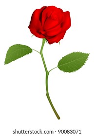 An illustration of a beautiful red rose