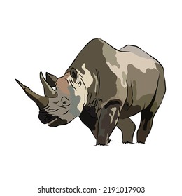 Illustration: Beautiful rhinoceros images, so cute.