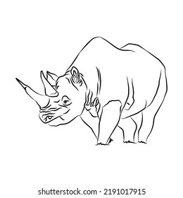 Illustration: Beautiful rhinoceros images, so cute.