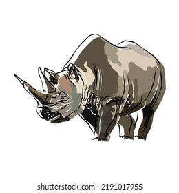 Illustration: Beautiful rhinoceros images, so cute.