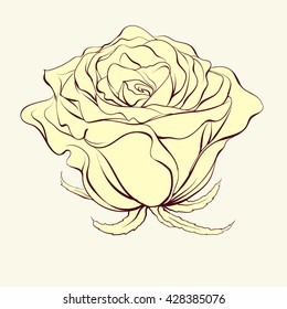 Illustration of a beautiful rose