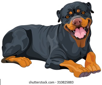 Illustration of beautiful Rottweiler