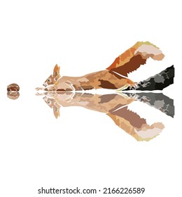 Illustration: Beautiful squirrel, used in general applications