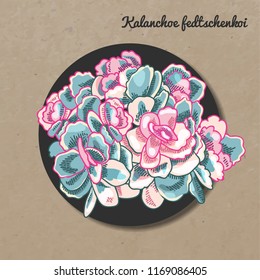 The illustration of beautiful succulent kalanchoe fedtschenkoi. Vector floral design. Botanical card.