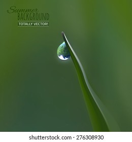 The illustration of  beautiful summer ecological background with transparent drop on a grass blade. Realistic graphic style. Totally vector image.