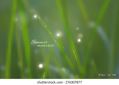 The illustration of  beautiful summer grass background. Realistic graphic style. Totally vector image.