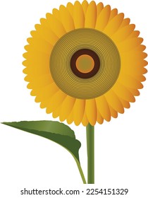 Illustration schöner Sonnenblumen in Vektorkunst