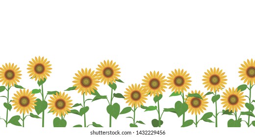 Seamless Pattern Beautiful Sunflower Fields On Stock Vector (Royalty ...