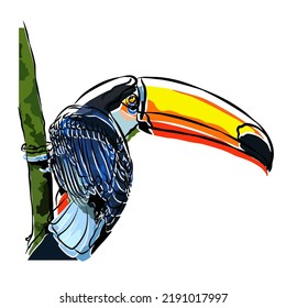 Illustration: Beautiful Toco toucan image.