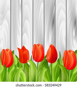 Illustration Beautiful Tulips Flowers on Wooden Background - Vector