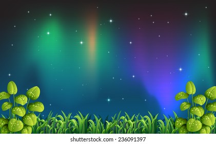 Ilustración de una hermosa vista de la noche