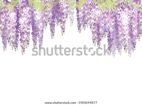 It is\
an illustration of a beautiful wisteria\
flower