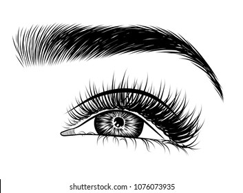 Illustration for beauty salon for eyebrow and eyelash extension vector poster  of beautiful woman. Beauty makeup eyes, fashion female face on poster.Digital vector detailed line art  hand drawn