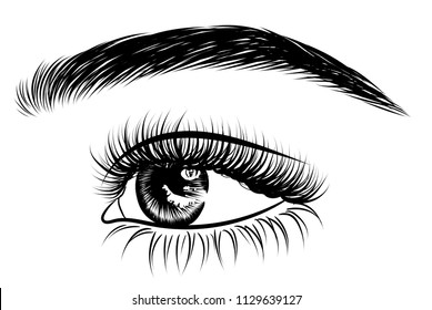 Illustration for beauty salon for eyebrow and eyelash extension vector poster  of beautiful woman. Beauty makeup eyes, fashion female face on poster.Digital vector detailed line art  hand drawn