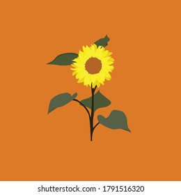 an illustration of beauty sunflowers