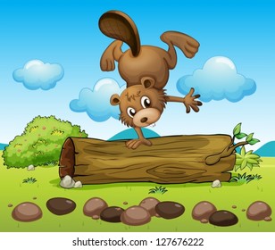 Illustration of a beaver balancing