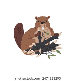 Illustration of a beaver: charming beaver with a flat tail, holding logs with leaves in its paws. Vector image of a semi-aquatic mammal on a white background