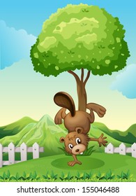 Illustration of a beaver doing a handstand at the hilltop