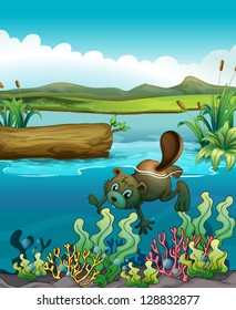 Illustration of a beaver near the coral reefs