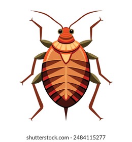 illustration of bed bug insect on white
