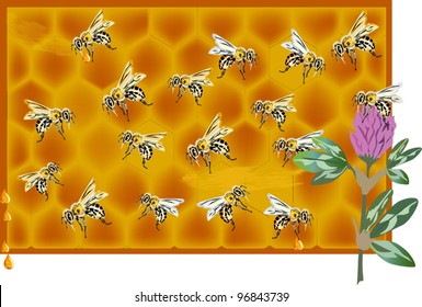 illustration with bee, flower and honeycomb