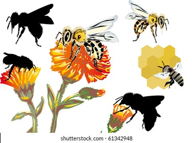 ilustración con abeja y flores sobre fondo blanco