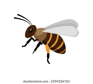 Illustration of a bee flying, viewed from the side, with translucent wings and striped body.