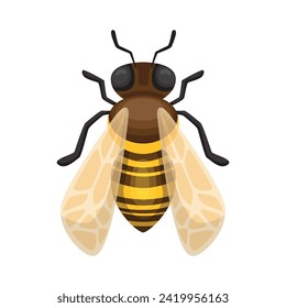 Illustration of bee. Bee icon design