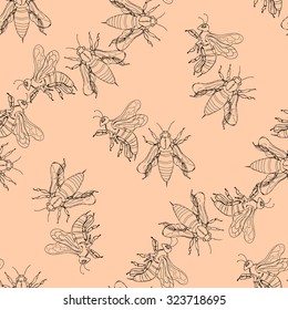 Illustration of a bee on background the outline drawing, greeting card. Seamless pattern.