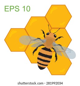 illustration of a bee on honeycomb