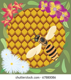 Illustration of bee on honeycombs surrounded by flowers.