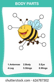 Illustration of bee vocabulary part of body,Write the correct numbers of body parts.vector