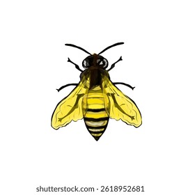 ilustração de uma abelha sem fundo