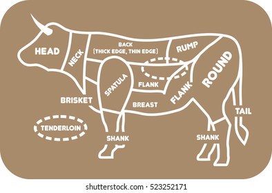 
Illustration of Beef Cuts Chart cow
