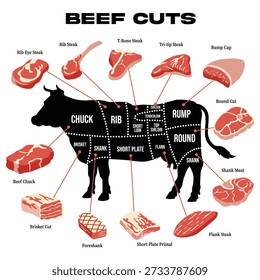 Illustration of beef cuts complete with descriptions