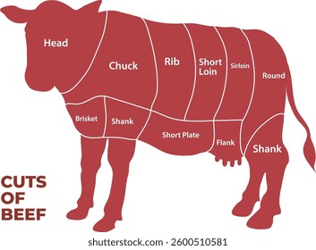 illustration of beef cuts infographic - vector