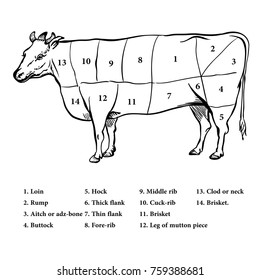 Illustration Beef Cutting Diagram Vector Sign Stock Vector (Royalty ...