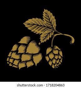 illustration of beer hop in engraving style. Design element for poster, label, sign, emblem, menu. Vector illustration