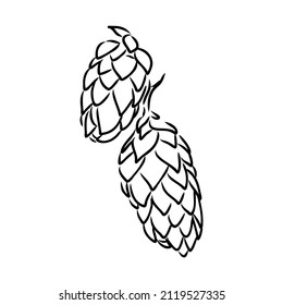 illustration of beer hop in engraving style. Design element for poster, label, sign, emblem, menu. Vector illustration