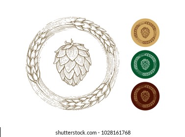 illustration of beer hops with malt, ingredients of popular alcoholic drink, kraft beer, vintage style, vector image,  image collection