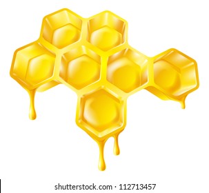 Illustration of bee's honeycomb with honey dripping off it