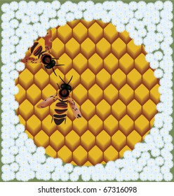 Illustration of bees on honeycombs surrounded by flowers.
