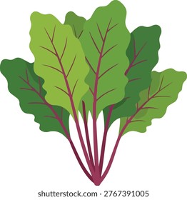Illustration of beet greens, showcasing their vibrant green leaves and red stems, representing a healthy and nutritious vegetable.
