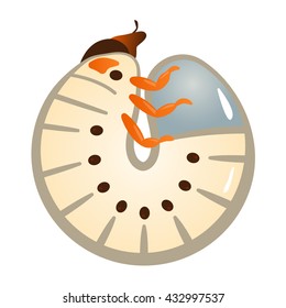 Illustration of Beetle larvae