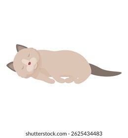 Illustration of a beige cat sleeping peacefully, isolated on white background