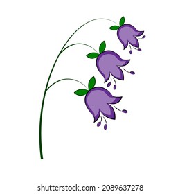 Illustration with bell flowers isolated on white background design elements templates for postcards brochures labels for packaging Printing on textiles for t-shirts Design Vector illustration